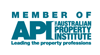 API Logo